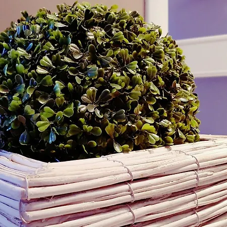 Lovely